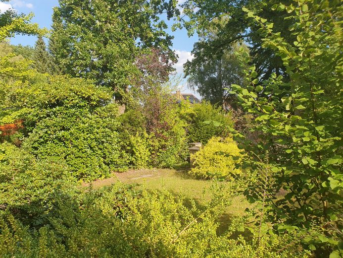 Wohnen wo Hamburg am schönsten ist Einfamilienhaus Doppelhaus Grundstück in Duvenstedt / Walddörfer – Garten
