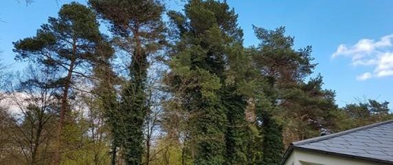 Ansicht Garten
