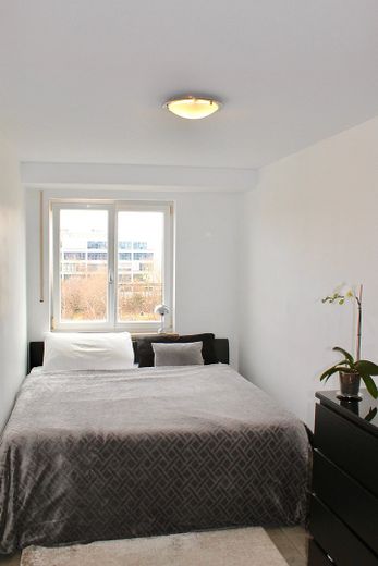 Moderne 3 Zimmer Wohnung mit Alpenblick ohne Provision – Foto 13