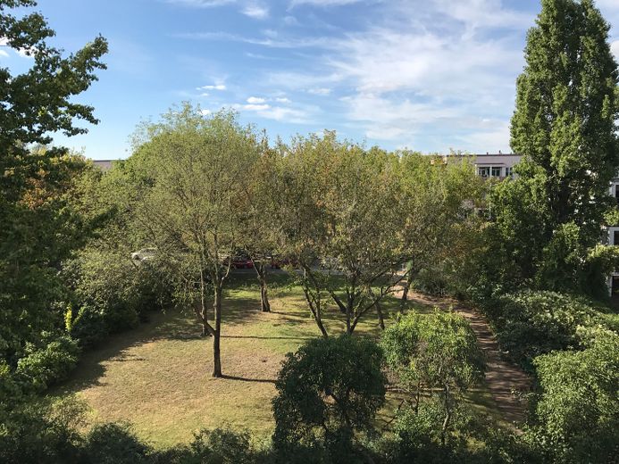 Vivir rodeado de naturaleza en el centro de Berlín | Amplio piso de 2 habitaciones con balcón y plaza de garaje subterráneo | sin comisión – Blick ins Grün