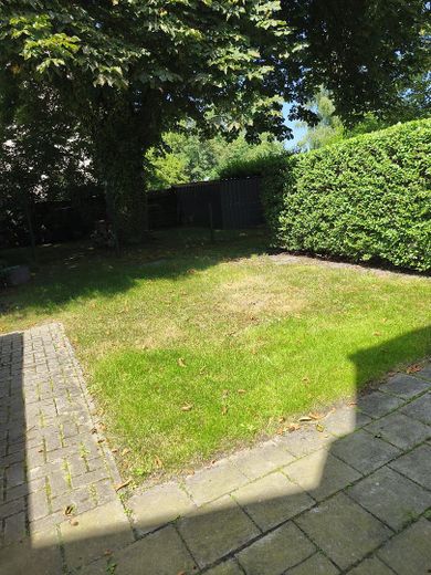 Charmante 3-Zimmer-Dachgeschosswohnung mit Garten – nur 2 Minuten zum Banter See – Garten