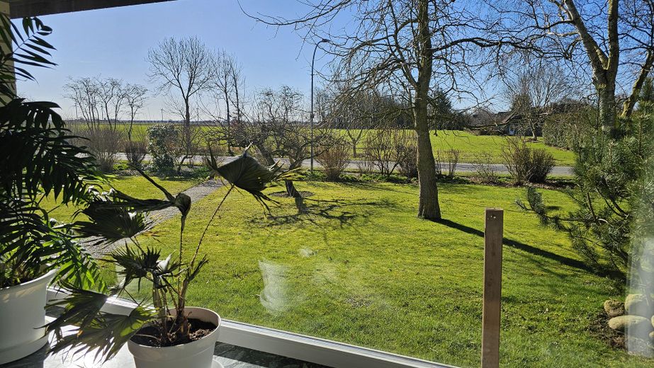 Blick aus dem Wohnzimmer