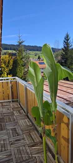 Zukunftssicheres Wohnen im Allgäu: Kernsaniertes energieeffizientes EFH - Einziehen & Wohlfühlen – Blick vom Balkon