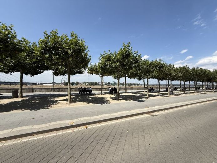 RHEINPROMENADE: BÜROEINHEIT mit HISTORISCHEM CHARME in LIEBLINGSLAGE von DÜSSELDORF – Foto 1