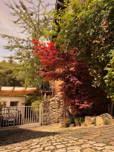 Architektur trifft Privatsphäre – besonderes Einfamilienhaus mit Pool, Sauna und Garten im Grünen – Hauseingang