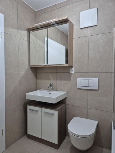 Moderne 1-Zi-Wohnung mit großzügiger Küche und Tiefgaragenplatz in LU a.R. – Bad/WC