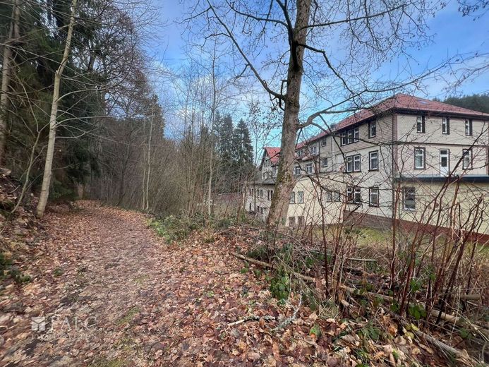 Traditionsreiches Hotelanwesen im Herzen des Thüringer Waldes - modernisiert und vielseitig nutzbar – Haus Rückseite mit Weg