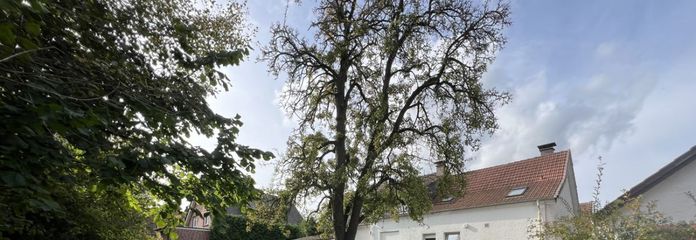 Gartenansicht