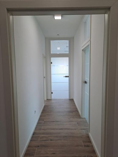 Heller Flur tw.Glastüren