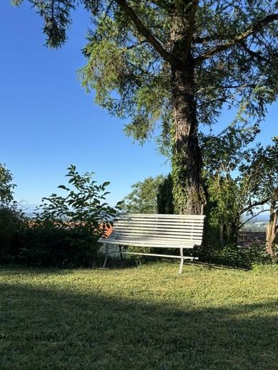 Großzügige, stilvoll möblierte 4-Zimmer Wohnung in Südlage zu vermieten – Chillen im Grünen