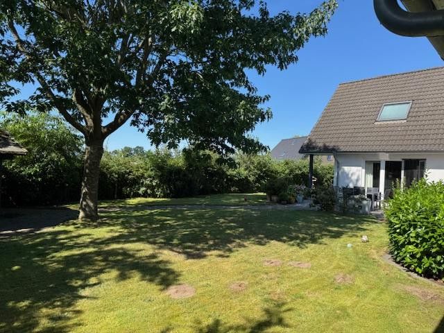 Garten schön eingewachsen