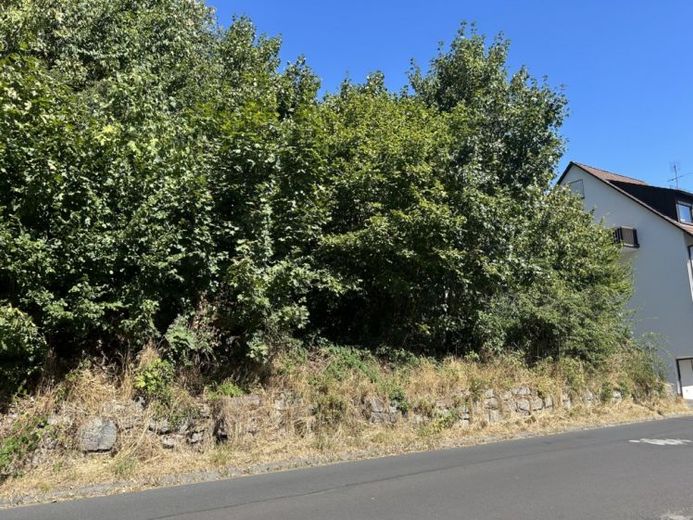 Baugrundstück in Bad Brückenau – Foto 1