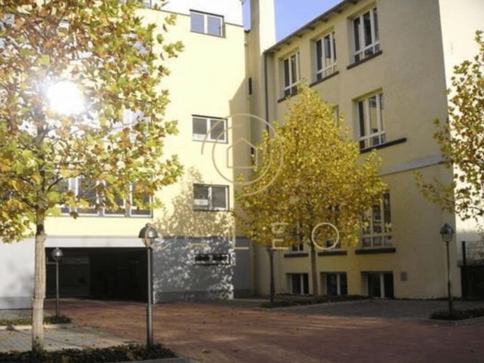 CALEO ¦ Offenbach ¦ 300 m² ¦ Preis auf Anfrage ¦ PROVISIONSFREI – Foto 1