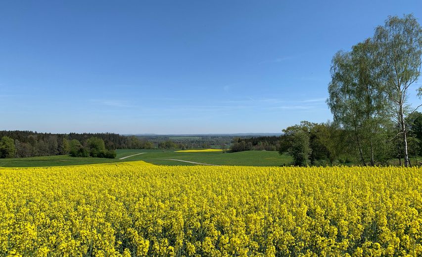 Weitblick ins Chiemgau