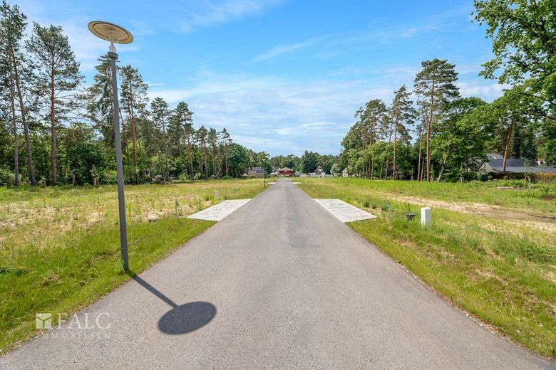 Traumgrundstück in Wilhelmshorst – Straße im Wohngebiet
