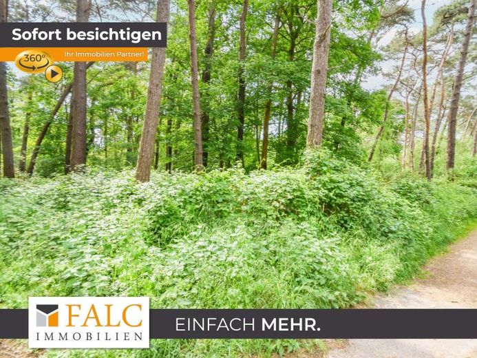 Waldareal in gewachsener Naturkulisse – Foto 1