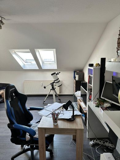 1 Zimmer Wohnung in Barth – Teil des Zimmers