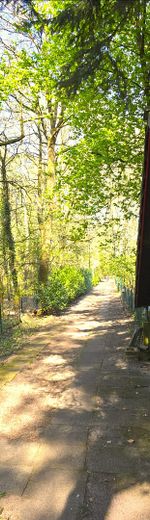 Zufahrt Richtung Teerstraße