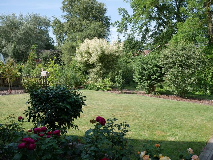 Hochwertig, Modern, in einmaliger grüner Lage – Blick in den Garten