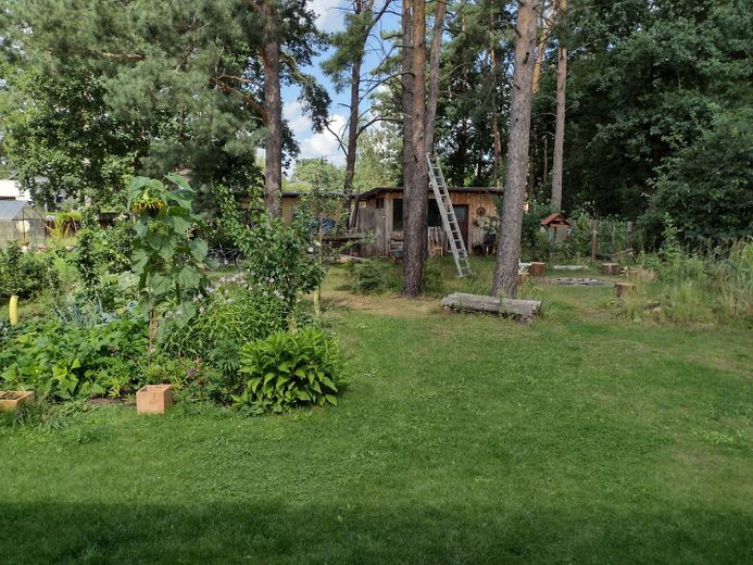 Einfamilienhaus im Umland von Berlin – Garten hinterm Haus