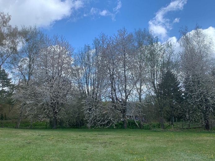 Complesso per vacanze con 5 case - immediatamente affittabile – Große Wiese