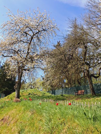 Neuwertiges KfW-55-Einfamilienhaus mit Wintergarten, Weitblick und großem Garten – provisionsfrei – Gartenansicht