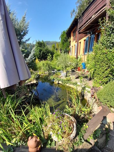 Freisteh. Einfam.haus mit ELW – Foto 2