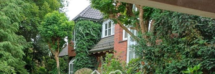 Spacious detached three-unit house in a quiet, sunny location (asking price negotiable)