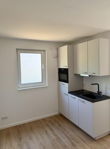 Möbliertes 1-Zimmer-Apartment mit Küche und Balkon (Erstbezug) – Küche 1