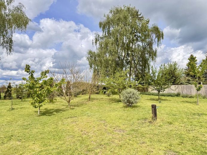 HORN IMMOBILIEN ++ geschmackvoll renoviertes Einfamilienhaus in Pampow bei Löcknitz. – Garten