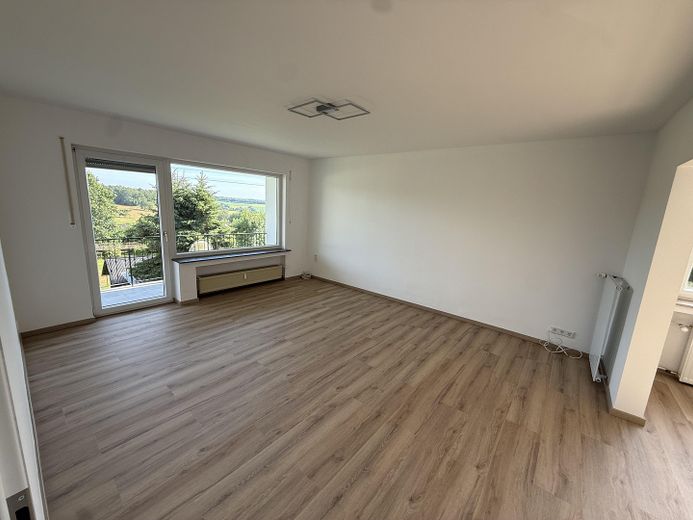 Neu renovierte 3-Zimmer-Wohnung mit Balkon, neuer EBK und 2 Stellplätzen in Reuffelbach (Mammelzen) – Wohn-/Esszimmer