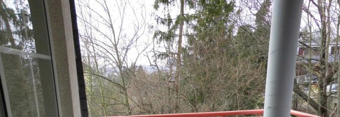 Neu sanierte 3-Zimmer-DG-Wohnung mit Balkon/Loggia und PKW-Stellplatz in ruhiger Stadtlage - nur unweit vom Stadtzentrum entfernt!