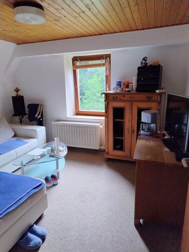 Alleinlage im Pfälzer Wald - hier ist alles ist hier möglich. – Wohnung im Dachgeschoss