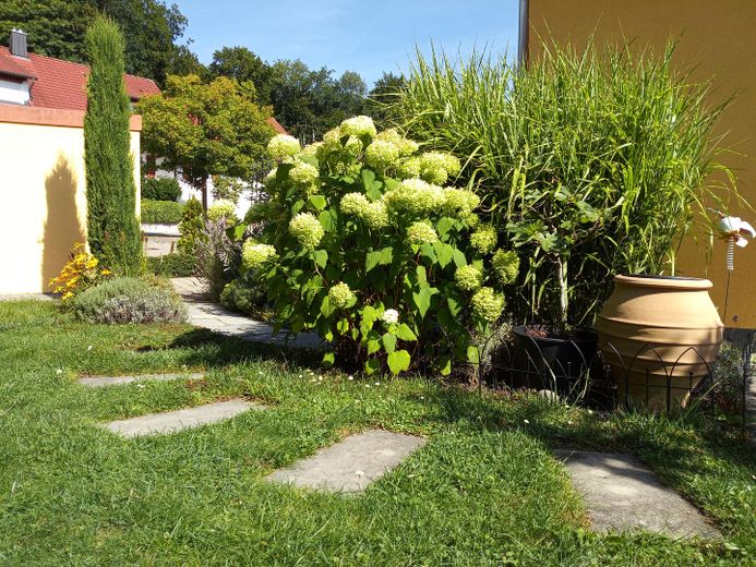 Steingarten mit Pflanzen