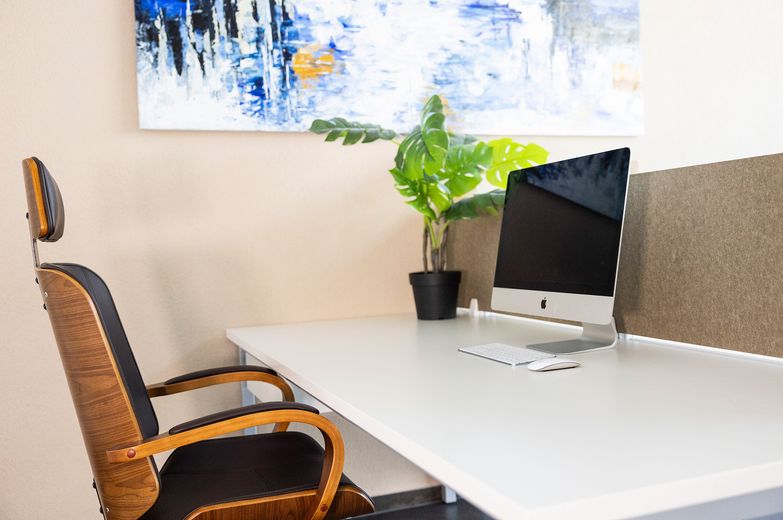Postazioni di lavoro moderne in ambienti eleganti - Ideali per ufficio, sala trattamenti e molto altro – Arbeitsplatz 2-Desk