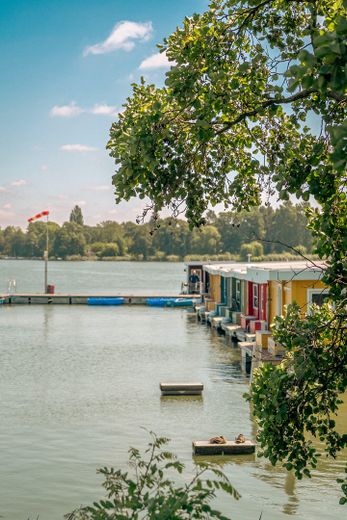 Oasi verde nell’idilliaca Zernsdorf su 1.130 m² con laghetto, sauna e serra – mehrere Gewässer in der Nähe