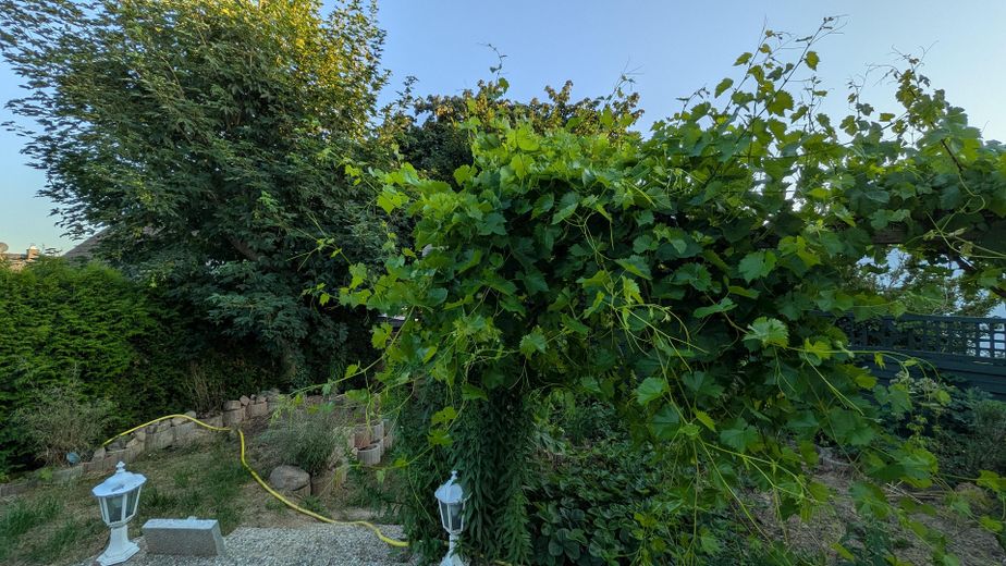 Baubiologischer, moderner Wohntraum in Top-Lage  · Chemnitz - Glösa-Draisdorf – Ansicht Garten
