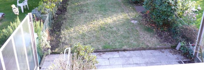 Blick in den Garten