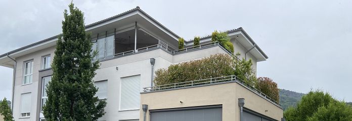Haus