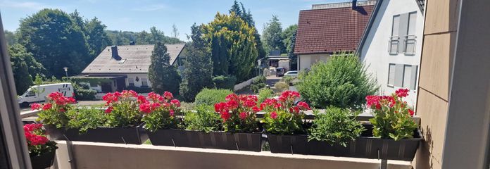 Aussicht vom Balkon