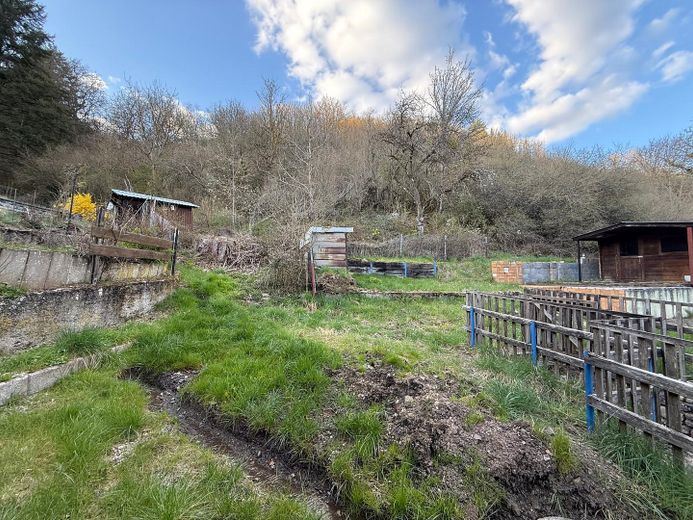 Modernisiertes Einfamilienhaus mit 1.025 m² Grundstück, Wintergarten & großem Garten – Garten