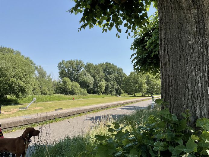 Möblierte Wohnung in historischer Villa mit exklusiver Lage an der Kölner Riviera – Foto 17