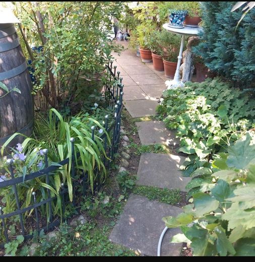 liebevoll angelegter Garten