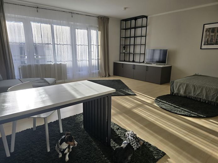 Appartamento di design completamente arredato di 1 stanza con balcone a Fürth – Essen