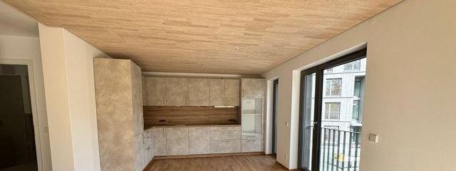 Charmante 2-Zimmer-Wohnung zum Erstbezug Breitnau