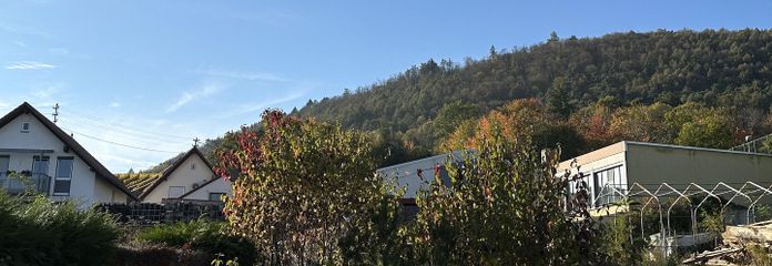 Blick Richtung Pfälzer Wald 