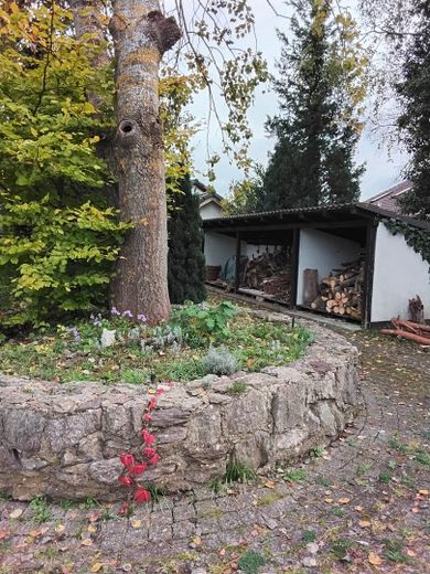 2 Häuser einzeln oder zusammen auf großem Grundstück – Holzlager
