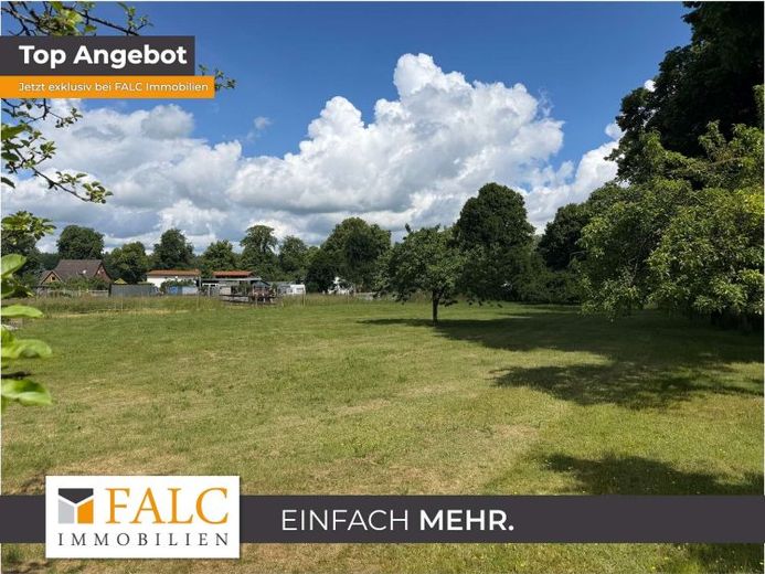 ***Großzügiges Baugrundstück mit Obstbaumbestand in Boddin/ Wittendörp*** – Foto 1