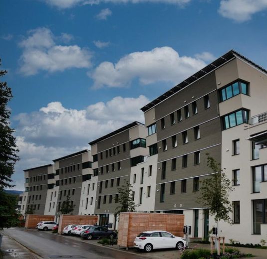 Exklusive 4,5-Zimmer-Designerwohnung in der Solarsiedlung Schallstadt – Nachhaltig, modern – Aussenansicht