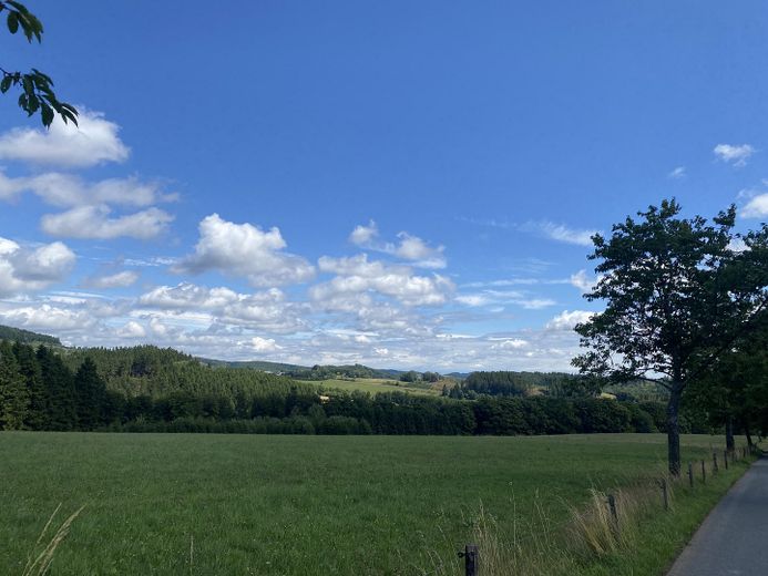 58 m² - Effizienzhaus - Erstbezug - Balkon - Aufzug - Sauna - Luftkurort - Rothaargebirge – Blick seitlich 2